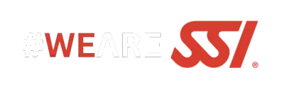 we are ssi logo